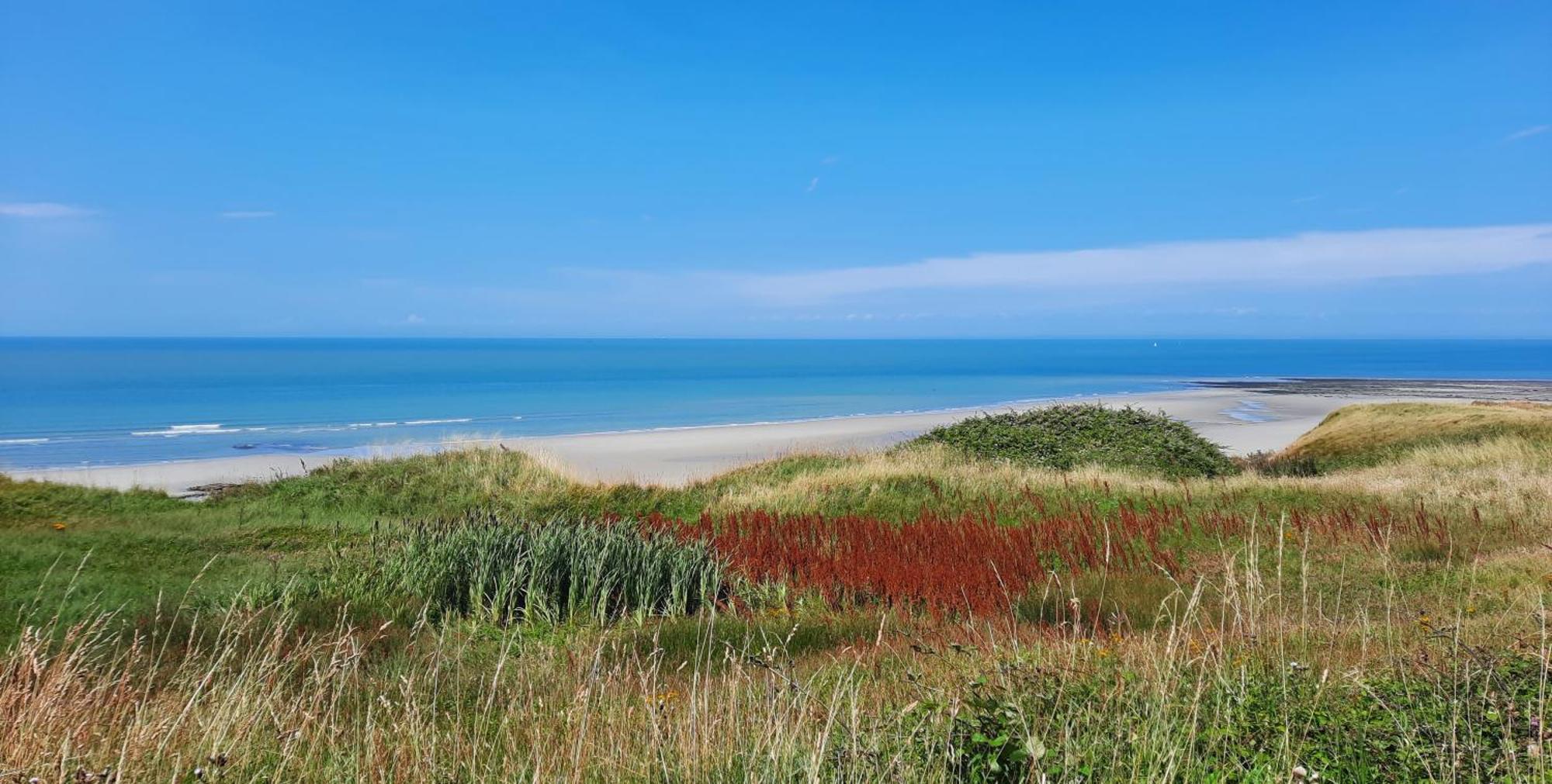 Le 246 - Duplex Face A La Mer Pour 4 Personnes, Wifi, Tv Full Sat, Parking Wimereux Exterior photo